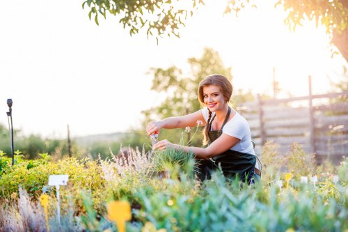 A woman tending to a vibrant garden in a backyard, with a variety of plants and flowers including lavender and small shrubs, bordered by a low brick wall. The lawn area has dense, well-maintained grass in the foreground, while taller trees and hedges create a natural backdrop. Paved paths and garden borders are visible, with soil beds arranged alongside the greenery. The garden appears to be in a residential outdoor space within Stratford, featuring a mixture of flowering plants and neatly kept foliage, illuminated by natural sunlight on a clear day. The scene suggests outdoor maintenance and gardening services available from Landscapers Stratford to enhance such garden environments and outdoor spaces in the local area.