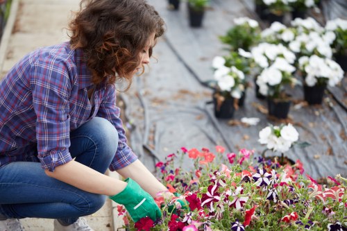 A woman wearing a plaid shirt, jeans, and green gardening gloves is kneeling in a garden, planting or tending to vibrant pink, purple, and white flowering plants in a flower bed. The garden features a paved pathway along the edge of the flower bed, with potted white flowering plants visible in the background. The scene is outdoors, with natural daylight illuminating the lush greenery and colorful blooms, set in a well-maintained landscaped yard typical of a residential outdoor space in Stratford. The image captures a moment of careful gardening, highlighting the importance of plant care and landscape maintenance provided by local garden specialists such as Landscapers Stratford, supporting outdoor beautification and lawn care services in the area.