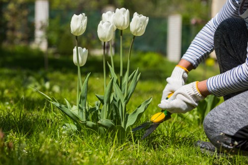 A person wearing striped clothing and gardening gloves is kneeling on a well-maintained lawn, using a hand trowel to tend to a small flower bed featuring white tulips with green stems and leaves. The garden includes a neatly edged grassy area with dense, healthy grass, and the flower bed is bordered by dark soil. In the background, blurred trees and a wooden fence suggest a private outdoor space, possibly in Stratford or nearby. The scene appears to be during daylight hours with natural lighting highlighting the vibrant greens of the grass and the white blossoms, emphasizing careful garden maintenance. This image reflects typical gardening activities supported by professional landscapers such as Landscapers Stratford, particularly in managing flower beds and lawn care services in local gardens.