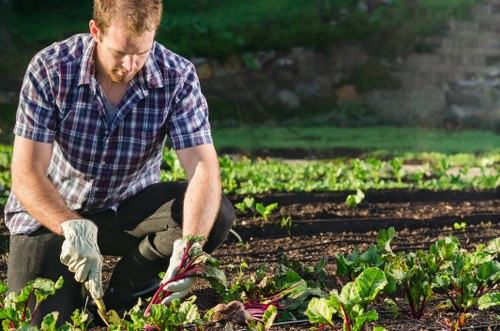 Professional lawn mowing service in Stratford