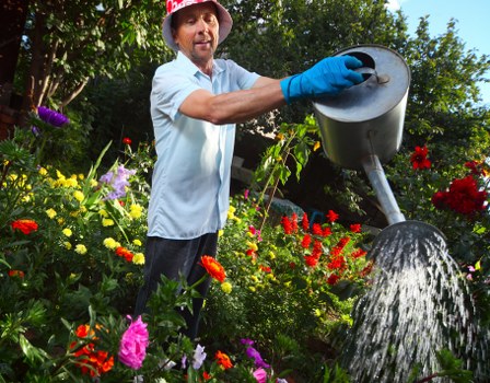 A man wearing a red gardening hat, blue gloves, and a light blue shirt is standing in a lush, well-maintained garden with a variety of colorful flowers, including red, pink, yellow, and purple blooms, and green foliage. He is watering the plants with a grey watering can held in his right hand, directing water onto the flower beds. The garden features a mix of flower beds, shrubs, and small trees, with a natural, relaxed arrangement. The background shows tall trees and a partly cloudy sky, indicating a bright, outdoor environment. This scene reflects professional garden maintenance and lawn care services in Stratford, highlighting a vibrant outdoor space suitable for landscaped lawns and flower beds, in line with local gardening expertise.