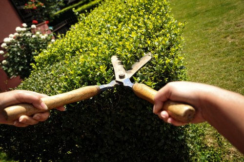 Professional hedge trimmers working in a Stratford garden