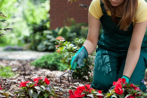 A person wearing teal gardening gloves and a dark green apron, with a yellow shirt underneath, is kneeling on a garden bed in a backyard. They are using a small hand rake or cultivator to tend to the soil and flowering plants, which include vibrant red blooms and green foliage. The garden features a well-maintained lawn with dense grass and neatly edged flower beds. In the background, there are various plants and shrubs, some with broad leaves, and a blurred brick wall indicating a residential setting. The scene is outdoors on a bright day with natural light illuminating the garden, suggesting good weather. The overall layout includes a mixture of flowering plants, shrubs, and a grassy area, typical of a landscaped backyard designed for aesthetic appeal and outdoor enjoyment. This image aligns with gardening and outdoor maintenance services offered by companies like Landscapers Stratford, highlighting soil care, planting, and garden tidying activities within a suburban garden environment near Stratford.