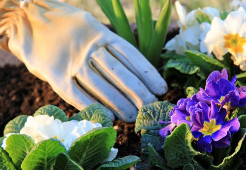 A gardener's hand wearing a white gardening glove is gently tending to a flower bed in an outdoor garden. The bed features a variety of flowering plants with colorful blooms, including white and deep purple flowers, set against rich, dark soil. Surrounding the flowers are green foliage and leaves with natural textures, highlighting healthy plant growth. In the background, there are larger green leaves, possibly from a shrub or a small tree, providing a lush backdrop. The scene suggests a well-maintained outdoor space, likely in Stratford, with natural sunlight illuminating the vibrant colours and textures, indicative of a pleasant weather day. The image reflects the careful attention to floral and garden bed maintenance that a professional gardening service such as Landscapers Stratford offers, including flower planting, bed care, and overall garden landscaping to enhance outdoor curb appeal and natural beauty.
