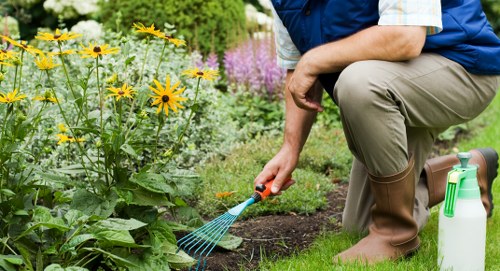 A person kneeling on a well-maintained lawn in a backyard garden, tending to a flower bed with a small garden rake in hand. The garden features a variety of flowering plants, including yellow blooms and purple flowers, bordered by lush green foliage. Behind, there are tall trees and dense shrubs, providing privacy and shade. The lawn has healthy, densely packed grass, and the soil in the flower bed appears freshly turned. To the right, a white garden spray bottle is visible on the grass, indicating ongoing outdoor maintenance. The scene is set on a bright, clear day with natural sunlight illuminating the garden, showcasing natural tones of green, yellow, and purple. The overall environment suggests professional residential gardening and landscape maintenance, consistent with services offered by companies like Landscapers Stratford in the Stratford area, staffed by experienced gardening specialists.