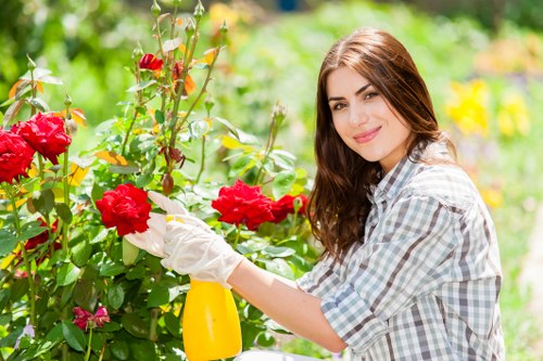A young woman with long brown hair and a light blue checkered shirt is tending a garden in a residential outdoor space. She is holding red flowering bushes, possibly roses, with one hand and a yellow spray bottle in the other, suggesting she is applying water or plant care treatment. The garden features a lush, well-maintained green lawn in the foreground, bordered by flower beds and shrubbery. In the background, there are trees and other plants creating a natural, leafy environment. The scene is brightly lit with natural sunlight, indicating a clear day. The garden environment appears tidy and cultivated, demonstrating regular maintenance typical of outdoor gardening services. The image aligns with landscaping and lawn care services offered in Stratford, emphasizing a healthy, vibrant garden with rich green foliage, colorful flowers, and a manicured outdoor space.