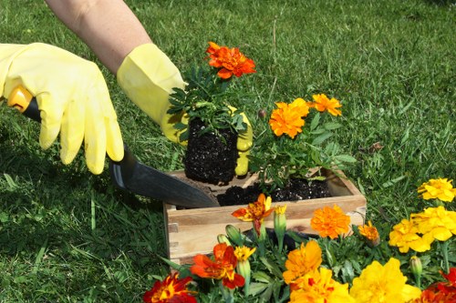 Pruned and maintained garden plants