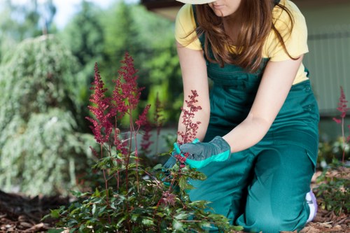 A woman with long brown hair, dressed in a yellow top and teal gardening apron, kneeling in a landscaped outdoor garden area during daylight hours. She is wearing teal gardening gloves and tending to a bed of flowering plants with tall, pinkish-red flower spikes and green foliage. The garden features a well-maintained lawn, bordered by a mixture of shrubs and evergreen trees, with a background of a green shed or outdoor structure. The scene reflects careful landscape maintenance, with fresh soil visible around the plants, and the weather appears clear and sunny, providing natural light. This setting exemplifies typical gardening activities carried out by professionals such as Landscapers Stratford, supporting local gardening and lawn care services in the area near Stratford or the postcode region. The environment is calm, neat, and indicative of outdoor garden maintenance suitable for enhancing curb appeal and outdoor spaces.