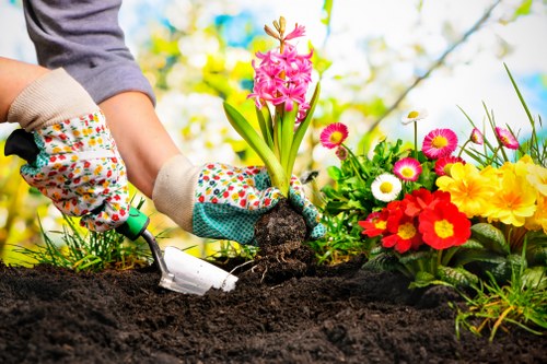 A gardener's hands, wearing colorful patterned gardening gloves, are planting a vibrant pink hyacinth bulb into dark, freshly turned soil in a well-tended garden. Surrounding the planting area are bright, cheerful flowers in shades of yellow, pink, red, white, and magenta, creating a lively and colorful border. The garden bed contains a variety of flowering plants and is situated on a lush green lawn. In the background, soft hints of trees and sunlight filtering through leaves suggest a pleasant, mild day. The scene captures a moment of outdoor gardening activity, with a focus on planting and landscape enhancement, reflecting professional gardening and landscaping work commonly undertaken by companies like Landscapers Stratford in the Stratford area.