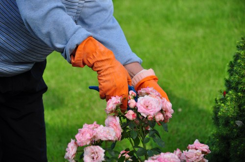 A gardener wearing orange gardening gloves and a grey sweater is carefully pruning pink roses in a well-maintained front garden. The garden features a lush, green lawn in the foreground, with a neatly edged flower bed containing the roses positioned towards the center. Behind the roses, there is a dense hedge and small evergreen shrubs, adding natural privacy and structure to the outdoor space. The paving surface adjacent to the lawn appears clean and even, providing a clear walking area. In the background, leafy trees and additional garden plants are visible, set under natural daylight with a slightly overcast sky, indicating a mild, temperate climate typical of the Stratford area. The scene exemplifies professional garden maintenance and landscaping practices, emphasizing the importance of plant care and garden design for residential outdoor spaces in the UK.