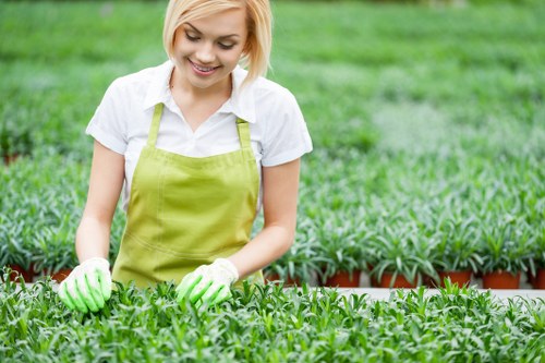 Seasonal lawn mowing techniques for a pristine lawn