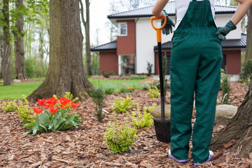 A gardener wearing dark green overalls and grey gloves stands in a landscaped front garden in Stratford, tending to a shrub near a mature tree with a sturdy trunk. The garden features a well-maintained lawn with a dense, green grassy area in the background, bordered by flower beds containing vibrant red tulips and small, neatly trimmed bushes with light green foliage. Mulch covers the soil around the plants, giving a tidy appearance. In the background, a modern red-brick house with large windows and a dark roof is visible, surrounded by tall trees and a lush, green garden landscape typical of outdoor maintenance and gardening services. The scene is set during daylight hours with natural light illuminating the garden, which appears fresh and well-kept, highlighting the expertise of professional landscaping and gardening work in Stratford, including lawn care, shrub pruning, and general outdoor upkeep by Landscapers Stratford.