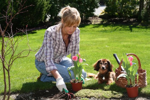 Seasonal garden maintenance in Stratford