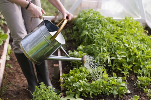 In the image, a person is watering a well-maintained garden bed in an outdoor space, likely part of a residential garden in Stratford. The garden features lush, green leafy plants arranged in neat rows within a wooden-edged flower bed. The soil appears dark and fertile, contrasting with the vibrant foliage. The person is holding a metal watering can with a teak handle, carefully pouring water onto the plants to promote growth. In the background, there are more greenery and possibly a greenhouse or garden shed, indicating a structured horticultural environment. The scene is set in daylight with natural, diffuse sunlight illuminating the garden, suggesting a clear, calm day suitable for outdoor gardening activities. This image aligns with professional gardening and landscaping services provided by companies like Landscapers Stratford, highlighting garden maintenance, flower bed creation, and plant care in the local Stratford area, within a typical residential garden environment in the UK.