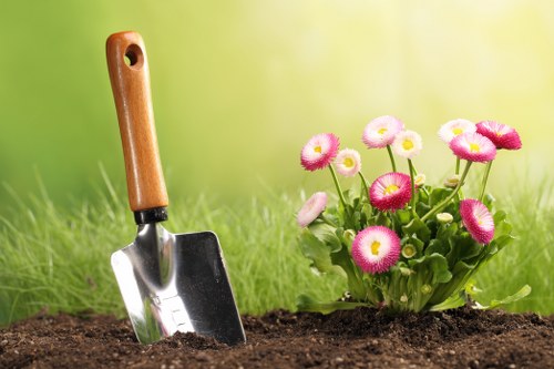 Healthy lawn maintenance in Stratford