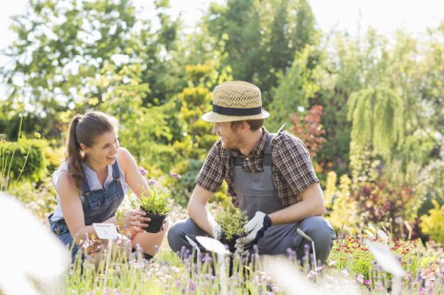 In a well-maintained outdoor garden setting near Stratford, a young woman and a man, possibly garden landscapers from Landscapers Stratford, are engaged in planting activities. The garden features a lush, green lawn with evenly cut grass in the foreground, bordered by flower beds filled with various flowering plants displaying purple, pink, and white blossoms. Behind them, there are tall, leafy trees and a hedge providing natural privacy and structure, with some shrubbery and colourful foliage adding visual interest. The man is wearing a straw hat, a checkered shirt, and gardening gloves, while the woman appears to be assisting with planting a small potted shrub or flower, smiling as they work together. The environment is bathed in soft, natural daylight, suggesting a clear, mild weather day, ideal for outdoor gardening tasks. This scene illustrates landscape maintenance and planting activities typical of professional garden care, incorporating natural plant textures and seasonal colours relevant to local gardening services in Stratford and surrounding areas.