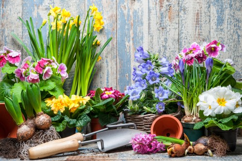 A variety of flowering plants in containers arranged on a weathered wooden surface, including yellow daffodils with tall green stems, pink and purple primroses, and white primroses with yellow centers, creating a colourful display suitable for a garden or outdoor space in Stratford. The plants are in different pots, some of which are wicker baskets and terracotta containers, with garden tools such as a small hand rake and trowel placed among the plants. Soil and bulbs are visible at the base of some plants, indicating recent planting or potting activity. The background features a rustic wooden fence with peeling paint, enhancing the natural, outdoor garden setting. The scene suggests garden maintenance and planting, reflecting professional gardening services from Landscapers Stratford in a typical UK outdoor environment, with natural daylight highlighting the vibrant plant colours and textures.
